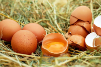 Wykorzystanie skorupek jajek w ogrodnictwie - ekologia dla każdego
